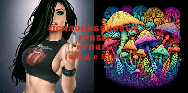 spice Армянск