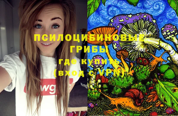 spice Армянск